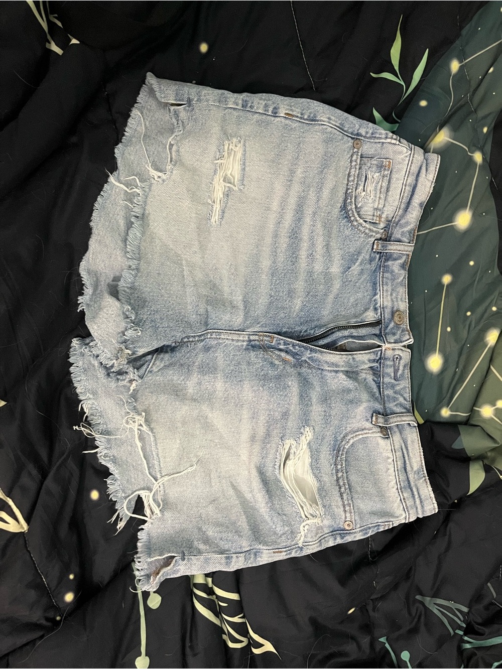 American Eagle Shorts Womens 10 Floral Embroidered Mom Fit